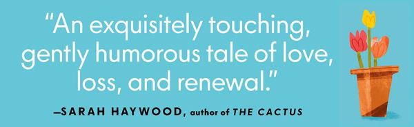 June the Garden: A Novel