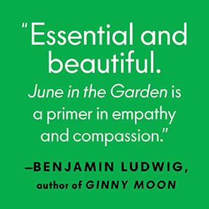 June the Garden: A Novel