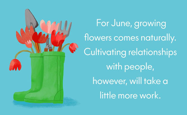 June the Garden: A Novel