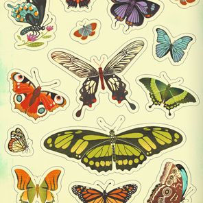 What's Inside a Garden? Stickerology: 500+ Stickers of Blooms, Butterflies, Birds, and More; Stickers for Gardeners, Nature-Lovers, and More; Stickers for Journals, Water Bottles, and Laptops