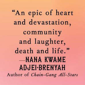 The Antidote: A Novel