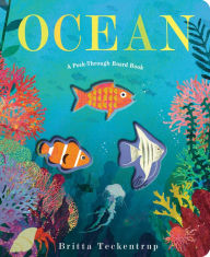 Electronics e books download Ocean: A Peek-Through Board Book 9780593806722 English version