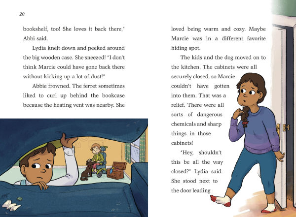 A to Z Animal Mysteries #6: Find That Ferret!