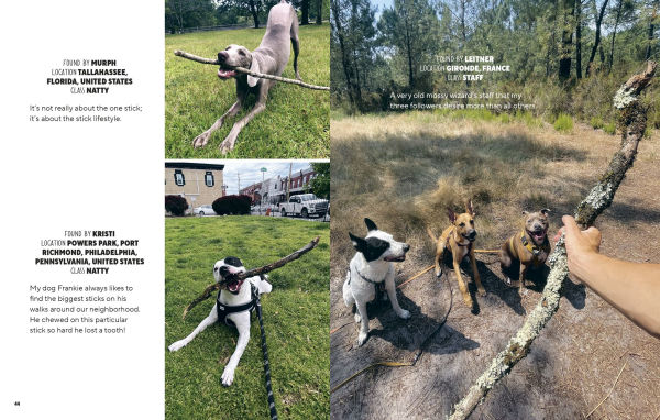 Sticks: A Collection of Sticks & the People Who Love Them, from the Founders of Stick Nation