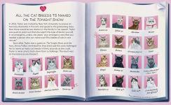 Alternative view 3 of Karma Is a Cat: The True Stories of Meredith Grey, Olivia Benson, and Benjamin Button Swift