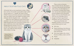 Alternative view 4 of Karma Is a Cat: The True Stories of Meredith Grey, Olivia Benson, and Benjamin Button Swift