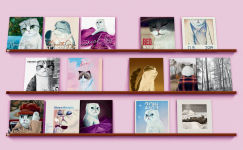 Alternative view 10 of Karma Is a Cat: The True Stories of Meredith Grey, Olivia Benson, and Benjamin Button Swift