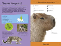 Alternative view 3 of Quiz Yourself Clever! Animals of the World