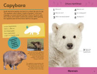 Alternative view 4 of Quiz Yourself Clever! Animals of the World