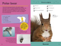 Alternative view 5 of Quiz Yourself Clever! Animals of the World