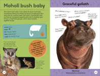 Alternative view 9 of Quiz Yourself Clever! Animals of the World