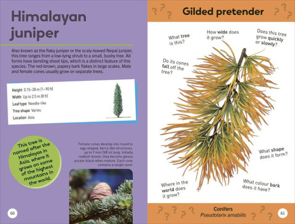 Quiz Yourself Clever! Trees of the World