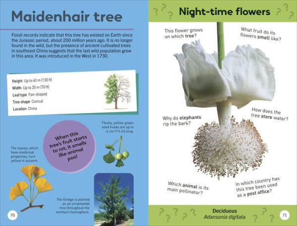Quiz Yourself Clever! Trees of the World