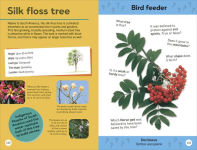 Alternative view 5 of Quiz Yourself Clever! Trees of the World