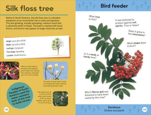 Quiz Yourself Clever! Trees of the World
