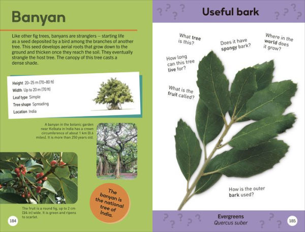 Quiz Yourself Clever! Trees of the World