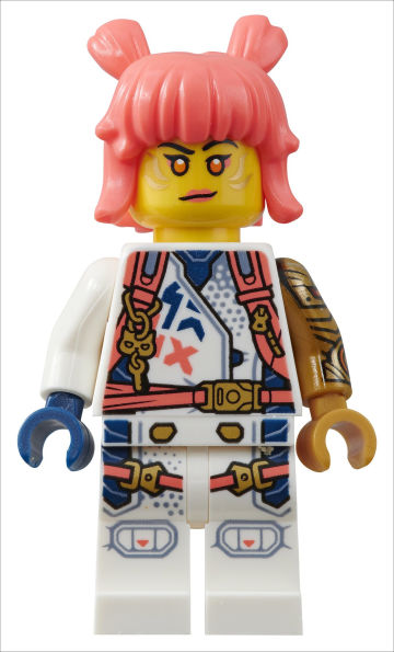 LEGO Ninjago Dragons Rising Character Guide: With Sora Minifigure