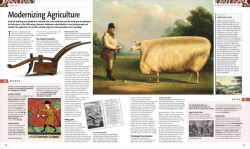 Alternative view 10 of History of Britain and Ireland: The Definitive Visual Guide, New Edition