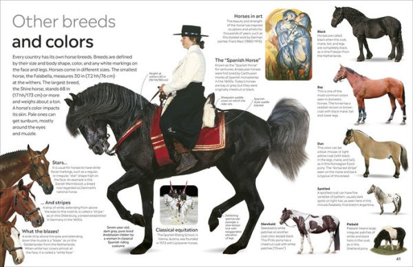 Eyewitness Horse