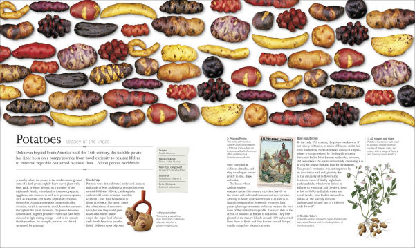 The Food Book: Stories, Science, and History of What We Eat, New Edition