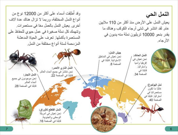 DK Super Readers Level 3 Ant Antics (Arabic translation)