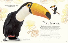 Alternative view 6 of An Anthology of Exquisite Birds