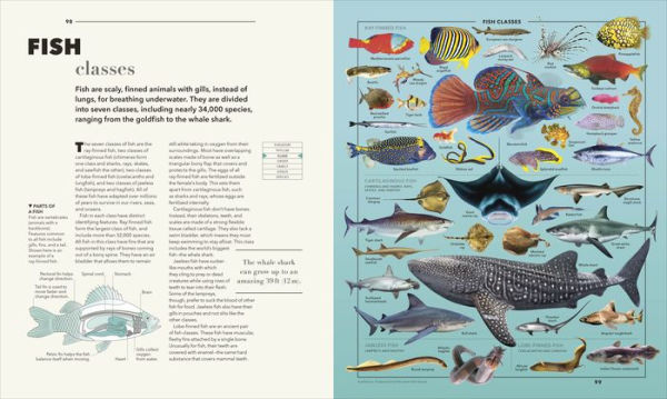 Knowledge A Visual Compendium: Making Sense of our World