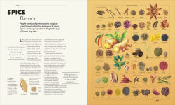 Alternative view 23 of Knowledge A Visual Compendium: Making Sense of our World