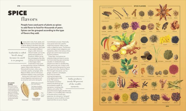 Knowledge A Visual Compendium: Making Sense of our World