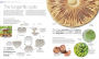 Alternative view 4 of Plants and Fungi: The Definitive Visual Encyclopedia