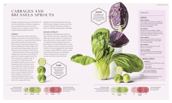 the Science of Flavor: Unlock Secrets Flavorful Cooking