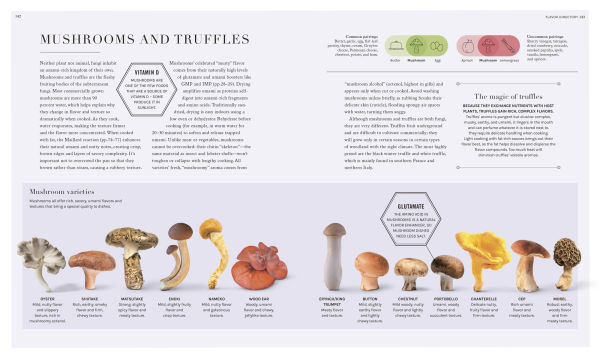 the Science of Flavor: Unlock Secrets Flavorful Cooking