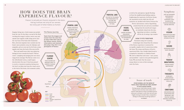 the Science of Flavor: Unlock Secrets Flavorful Cooking