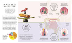 Alternative view 4 of The Science of Flavor: Unlock the Secrets Behind the Art of Flavorful Cooking