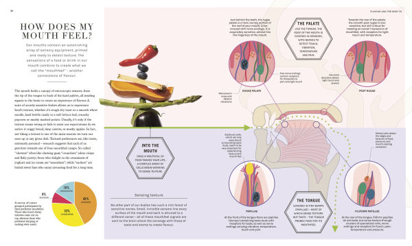 The Science of Flavor: Unlock the Secrets Behind the Art of Flavorful Cooking