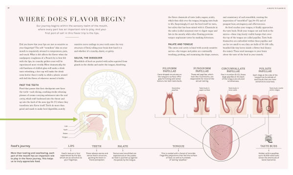 the Science of Flavor: Unlock Secrets Flavorful Cooking