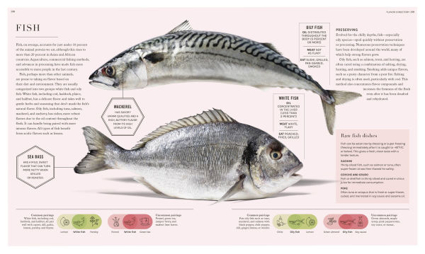 the Science of Flavor: Unlock Secrets Flavorful Cooking