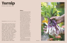 Alternative view 12 of The Seed Hunter: Discover the World's Most Unusual Heirloom Plants