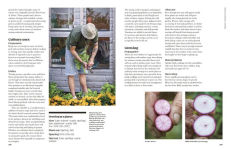 Alternative view 13 of The Seed Hunter: Discover the World's Most Unusual Heirloom Plants