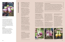 Alternative view 14 of The Seed Hunter: Discover the World's Most Unusual Heirloom Plants