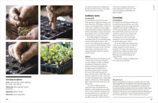 Alternative view 6 of The Seed Hunter: Discover the World's Most Unusual Heirloom Plants