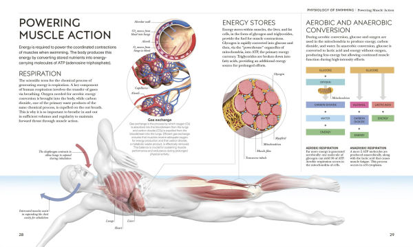 Science of Swimming: Transform Your Stroke, Improve Strength, Revolutionize Training