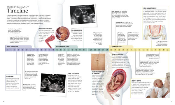 The Pregnancy Encyclopedia: All Your Questions Answered