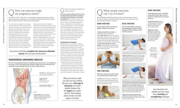 The Pregnancy Encyclopedia: All Your Questions Answered