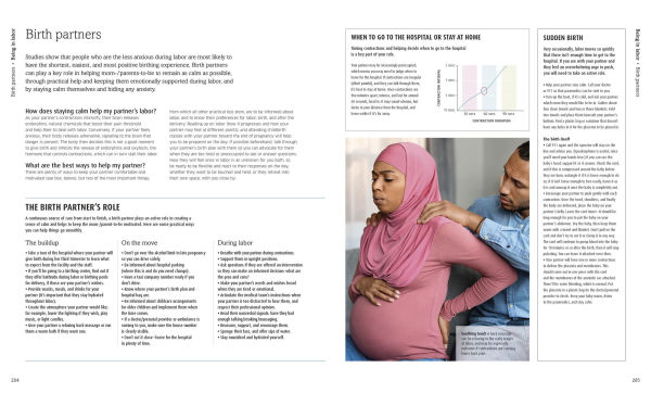 The Pregnancy Encyclopedia: All Your Questions Answered