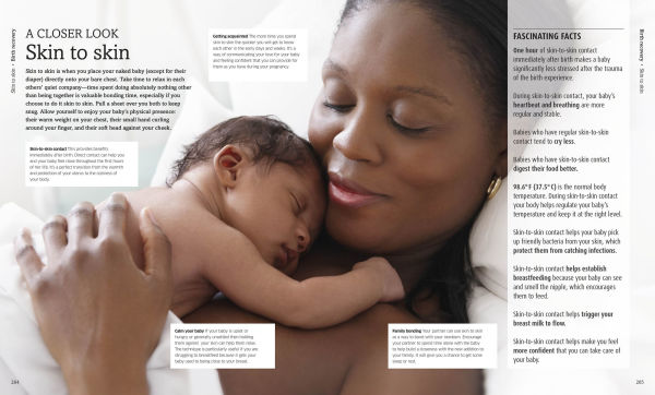 The Pregnancy Encyclopedia: All Your Questions Answered