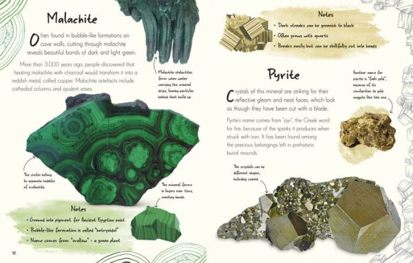 An Anthology of Rocks and Minerals: A Collection of Rocks, Minerals, and Gems from Around the World