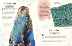 Alternative view 5 of An Anthology of Rocks and Minerals: A Collection of Rocks, Minerals, and Gems from Around the World