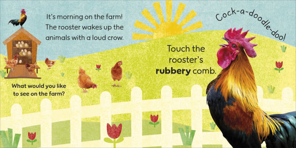 Touch and Feel Farm: With Tactiles for Toddlers to Explore