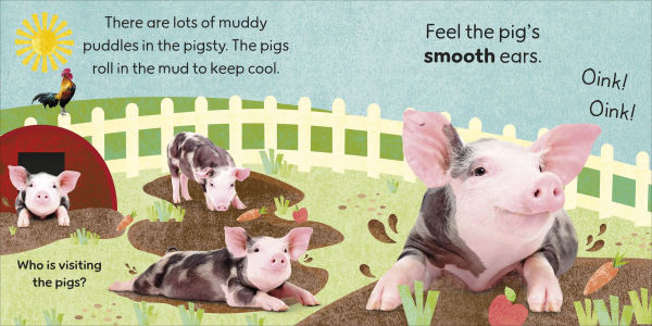 Touch and Feel Farm: With Tactiles for Toddlers to Explore